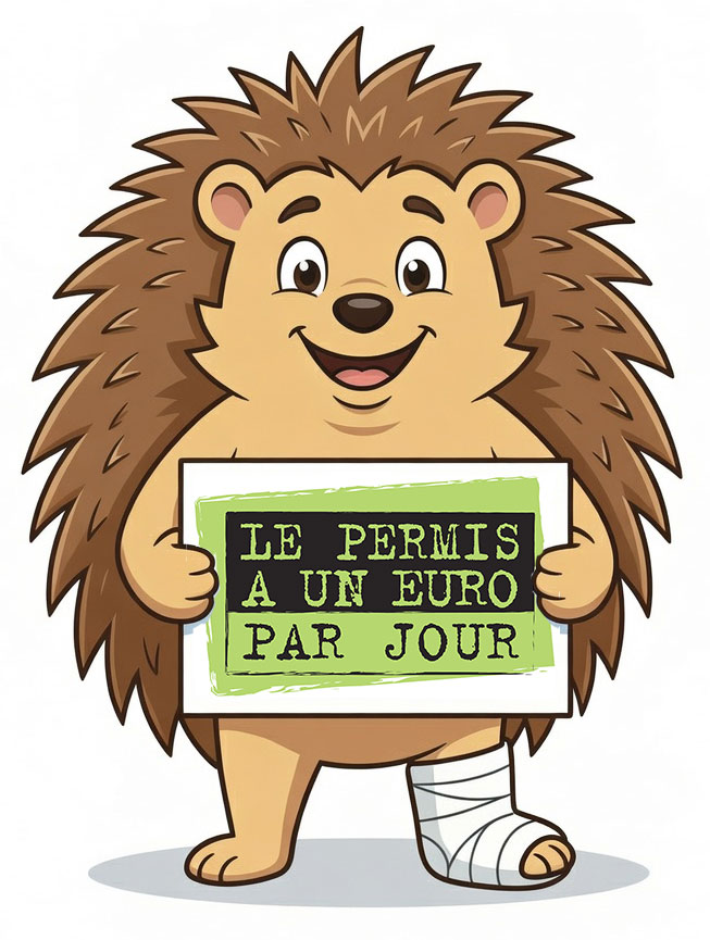 permis 1euro par jour